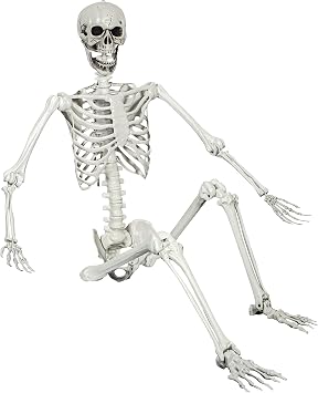 XONOR 5.4ft Halloween Posable Skeleton Realistic Life Size Human Skeleton Bones with Movable Joints for Halloween Haunted House Indoor Outdoor Decor 1Piece