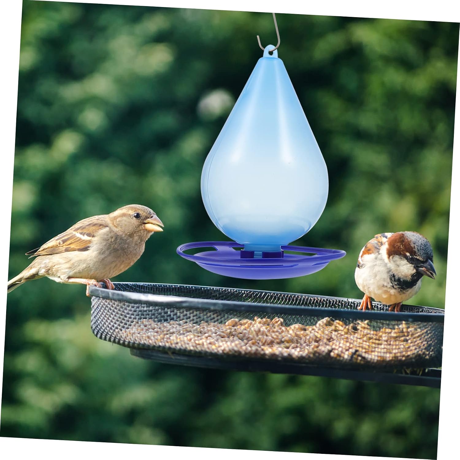 Generic Durable Plastic Hanging Feeder Hummingbird Bird Food Tray Easy Suspend on Tree Hook Attract Birds Garden Charm image 2