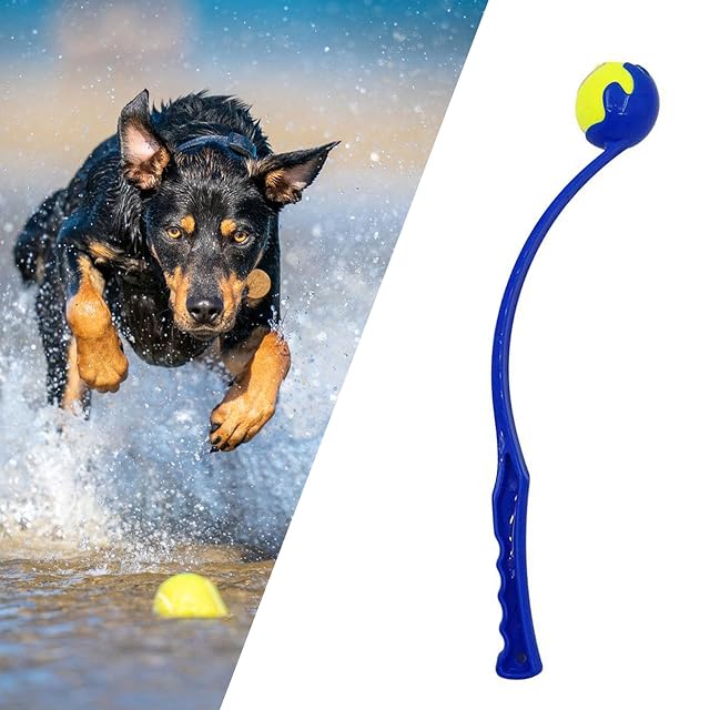 Foto 4 de 7 de KSIEE Lanzador clásico de pelotas, lanzador de bolas para perros