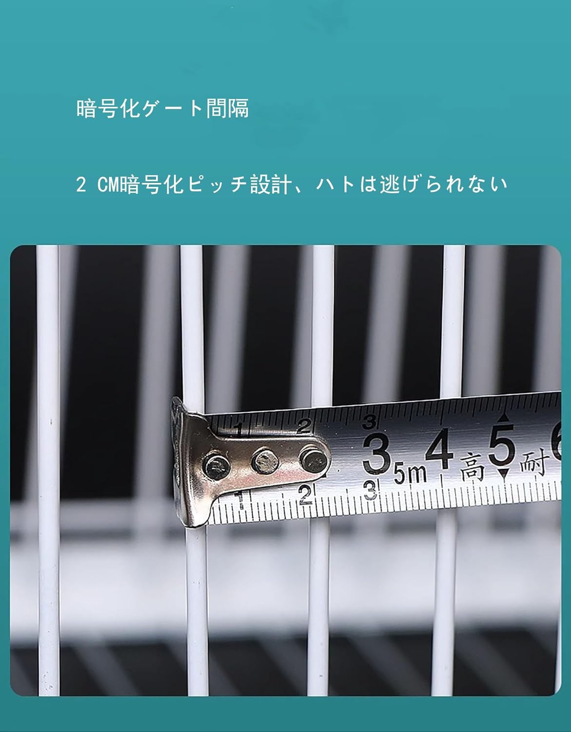 あわ 40 鳥かご - 入口のみ 出口なし 逃げられないデザインの鳩捕獲器 鳩捕獲ドア