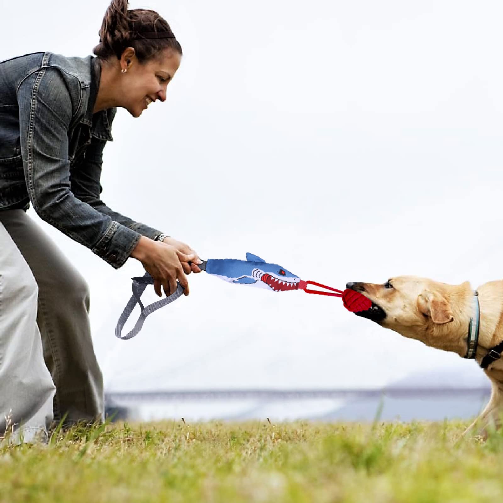 Vrent Hundespielzeug Ball Mit Seil - 90 Cm Quietschend Für Apportieren & Tauziehen
