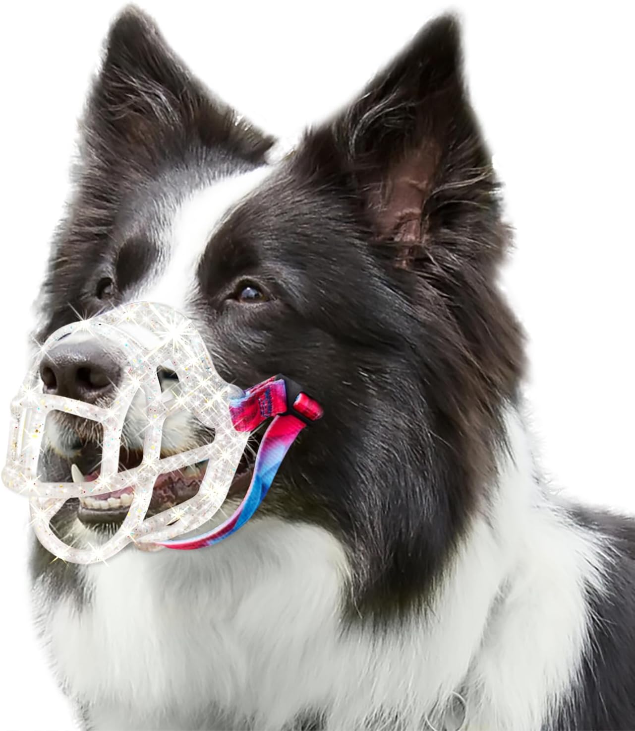 Dog Muzzle, Basket Muzzle Anti Biting Chewing, Sturdy Lightweight Allows Panting Drinking, for Small Medium Large Dogs, Suitable for Grooming Trimming Training (Transparent, Size5)