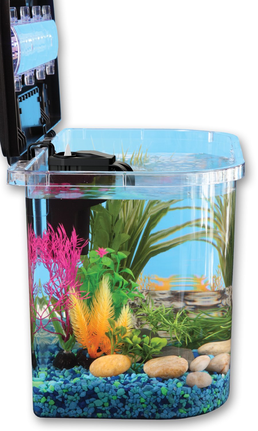 Buy Koller Products 5Gallon Aquarium Kit with LED Lighting and Power