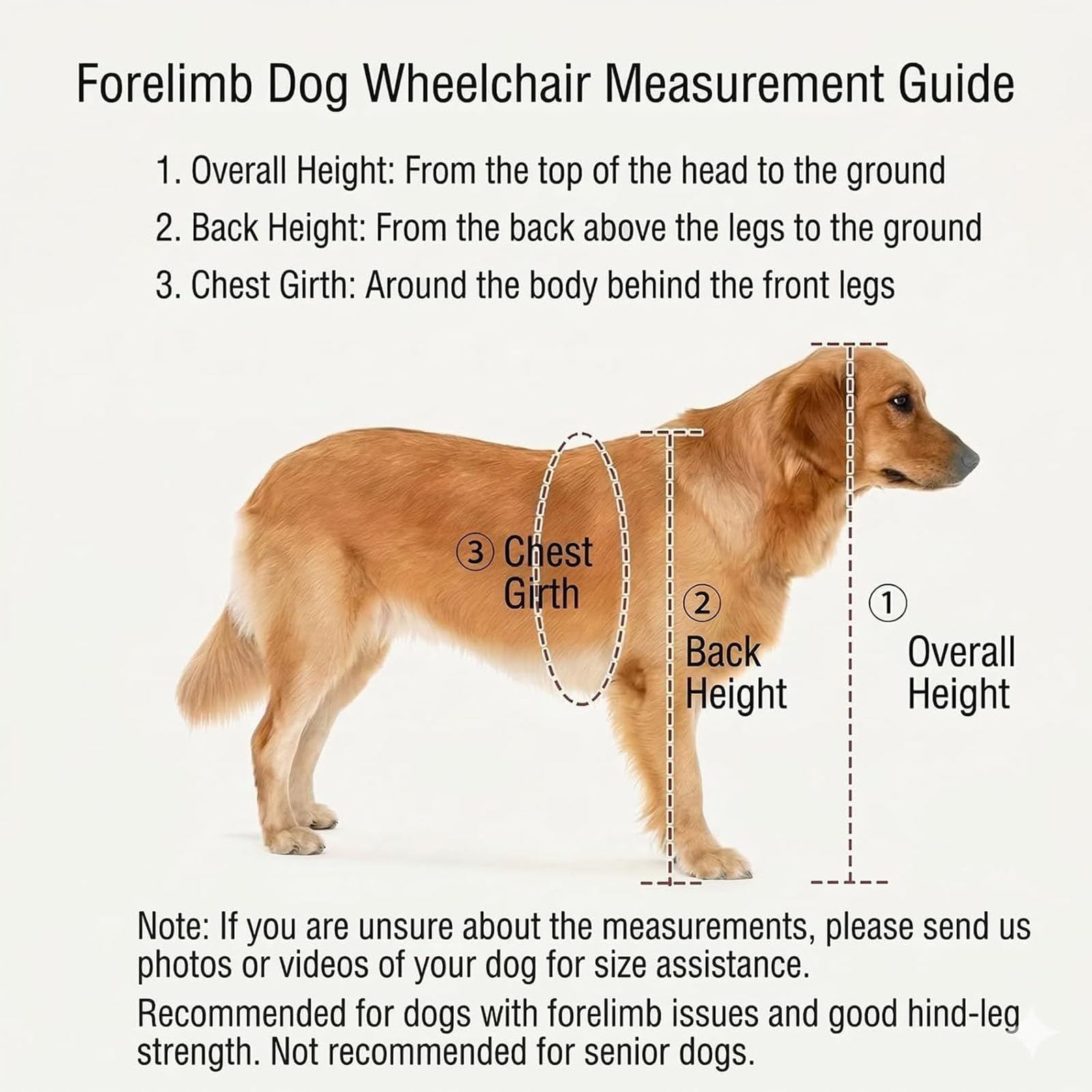 Carrellino Leggero Per La Mobilità Degli Animali – Carrozzina Regolabile A 4 Ruote Per Cani (Zampe Anteriori E Posteriori) – Ideale Per Cani E Gatti Disabili, Invalidi O Infortunati(S)
