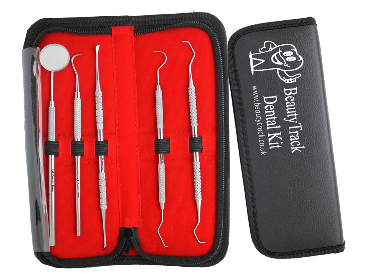 BeautyTrack 5pc Dental Care Kit with Instruction Booklet,Top Class Stainless Steel Plaque and Tartar Remover Set for Teeth Cleaning Contains,Eraser,Scraper,Mirror,Probe,Picks Storage Travel Gift Case