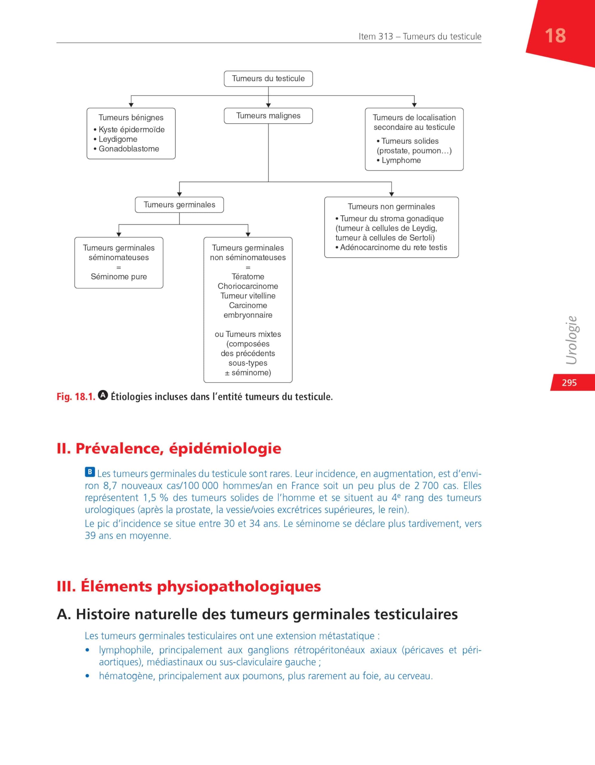 Urologie: Réussir ses EDN