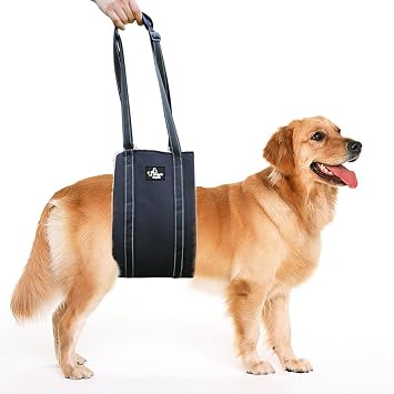 Doggie Stylz Portable Dog Lift Harness 4-150 lbs. Dog Sling for Back Legs, Hip Support Harness Helps Lift for Rehab, Weak Rear Legs, Hind Leg Support, Senior, Injured, Disabled, After Surgery Large