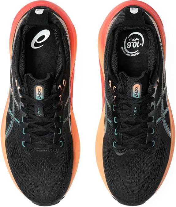 Asics Gel-Kayano 31 Men's Shoes