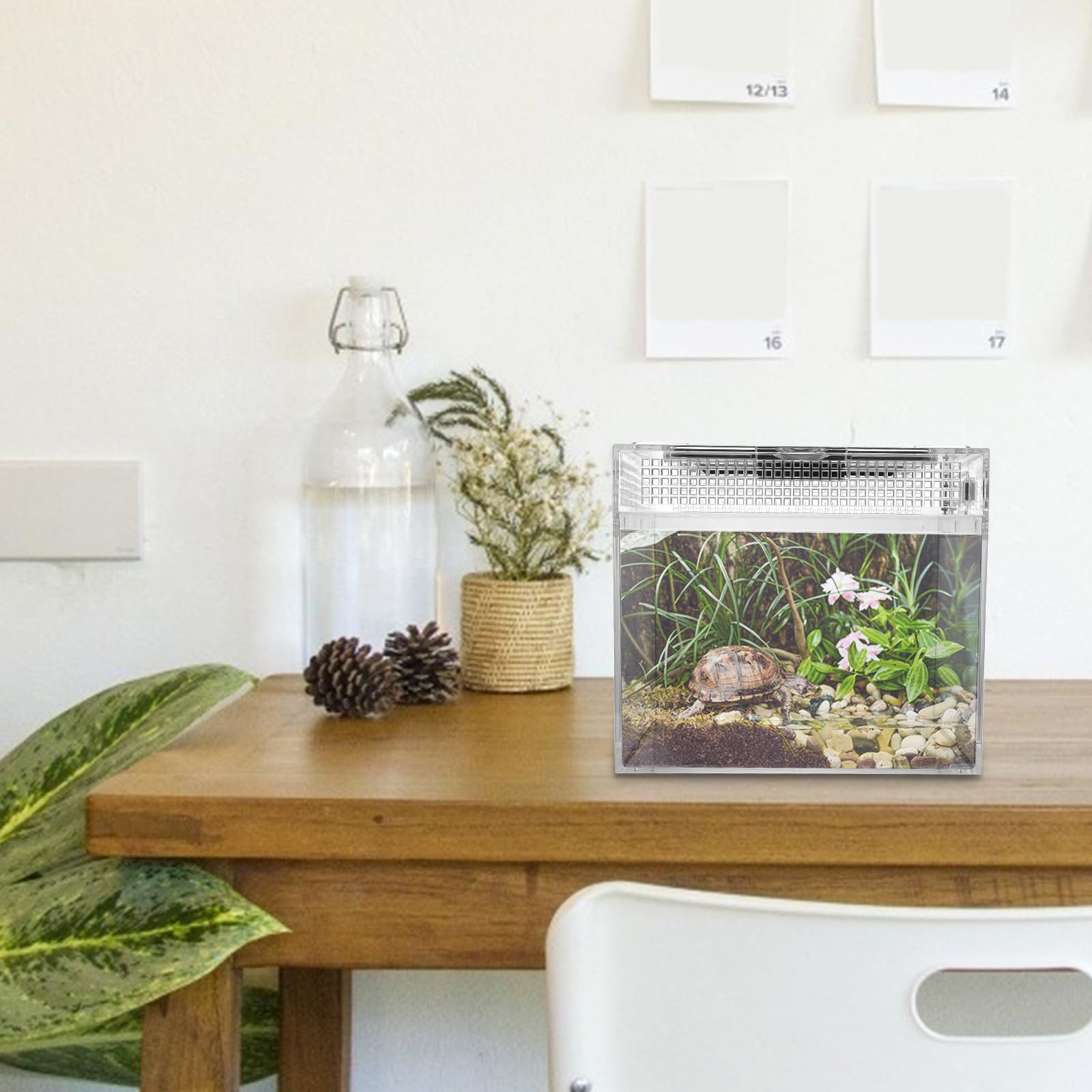 Terrario per Rettili in PC Leggero Sistema di Ventilazione per Tartarughe e Ragni, Contenitore per Allevamento da Esterno Resistente e Pratico