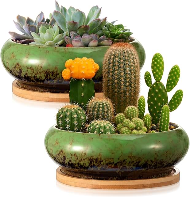 2 Pack 7.3 Inch Round Large Shallow Succulent Ceramic Planter Pots with ...