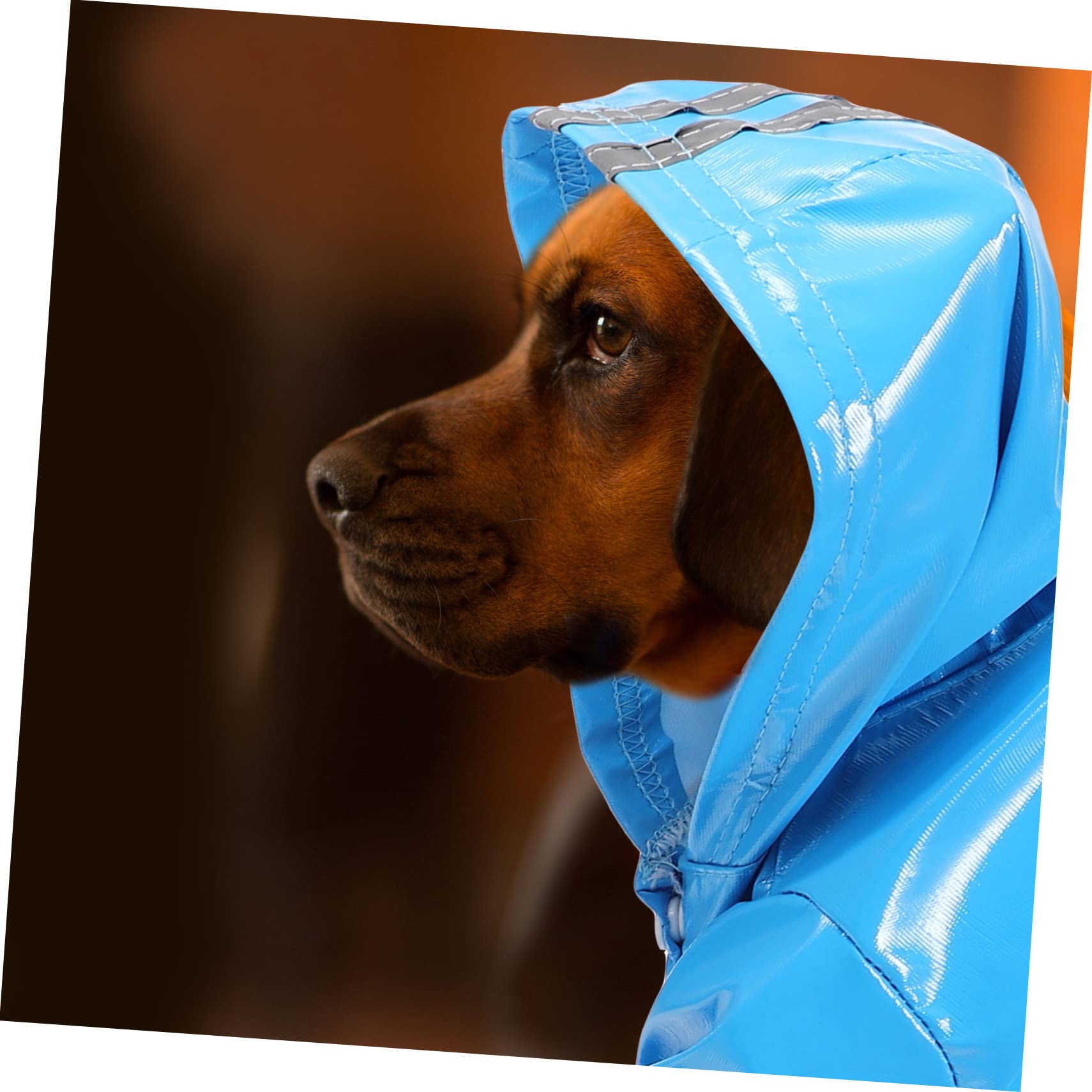 Manteaux de Pluie imperméables pour Chien, imperméable pour Chien, 4 pièces, imperméable pour Petit Chien, vêtements pour Chien, Veste de Pluie, imperméables po