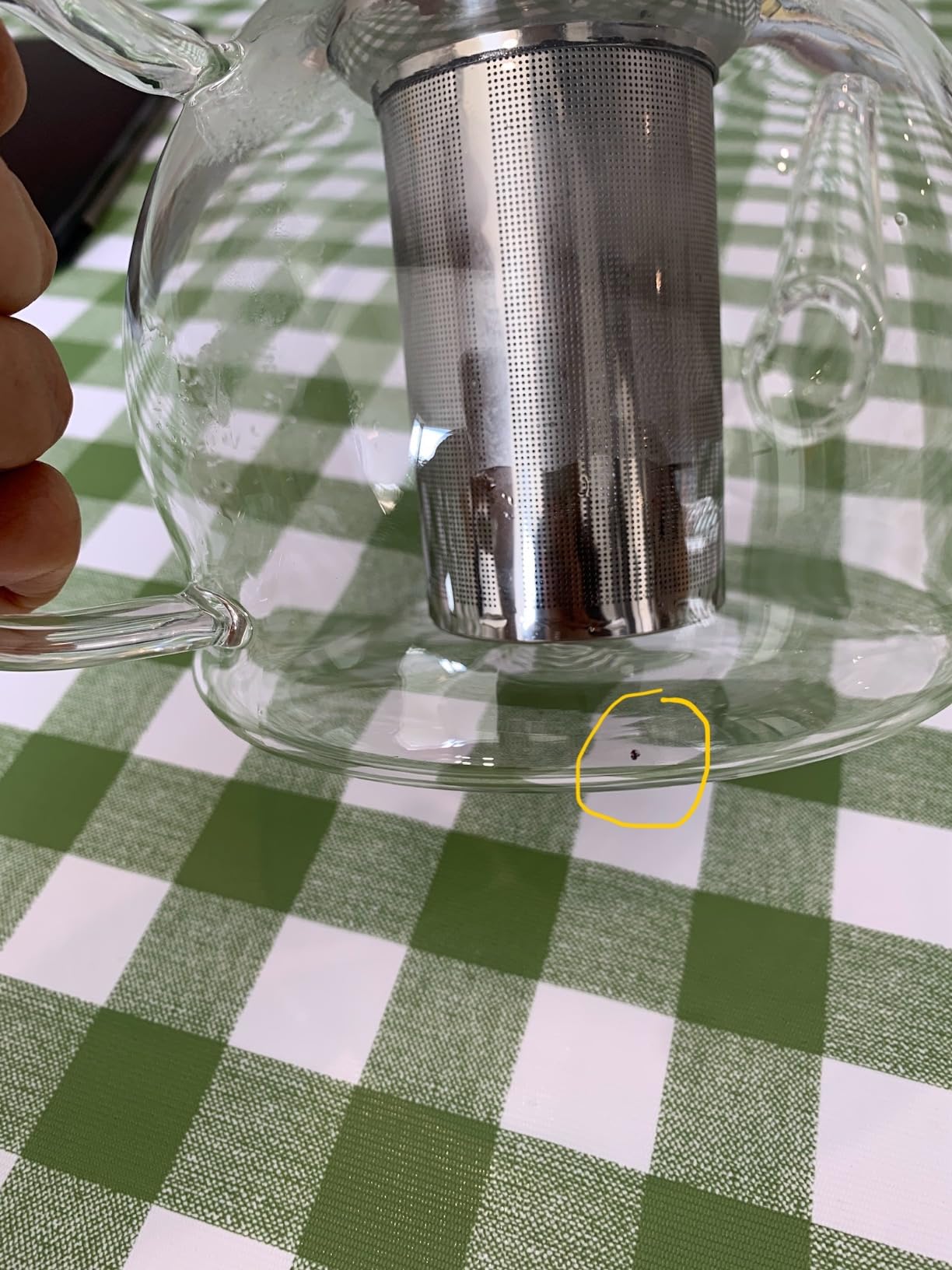 HIWARE 1000ml Glass Teapot with Removable Infuser, Stovetop Safe Tea Kettle, Blooming and Loose