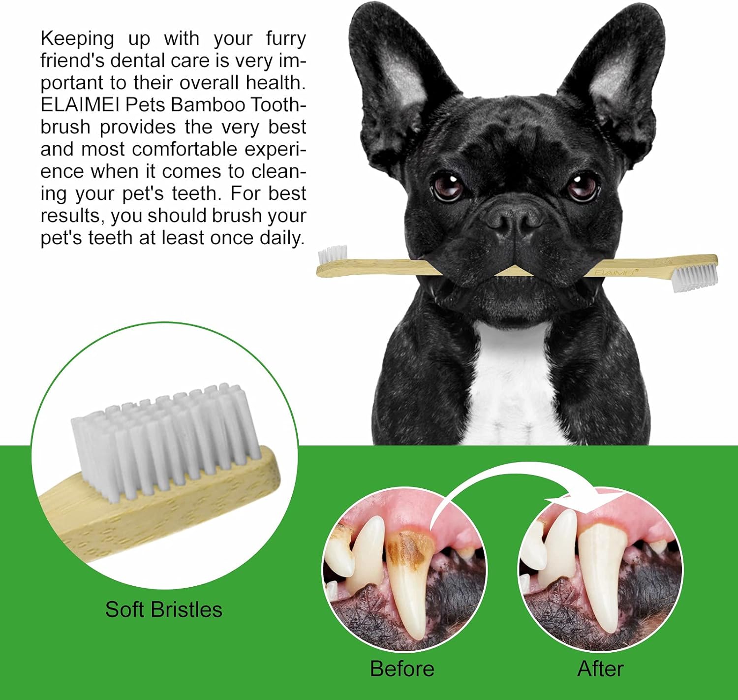 Dog Toothpaste and Brush Set, Fresh Breath Dental Kit for Pets Dog Toothpaste Mint Teeth Cleaning for Dogs and Puppy Dog Teeth Cleaning Kit (Dog Toothpaste with 3 Brush) : Pet Supplies