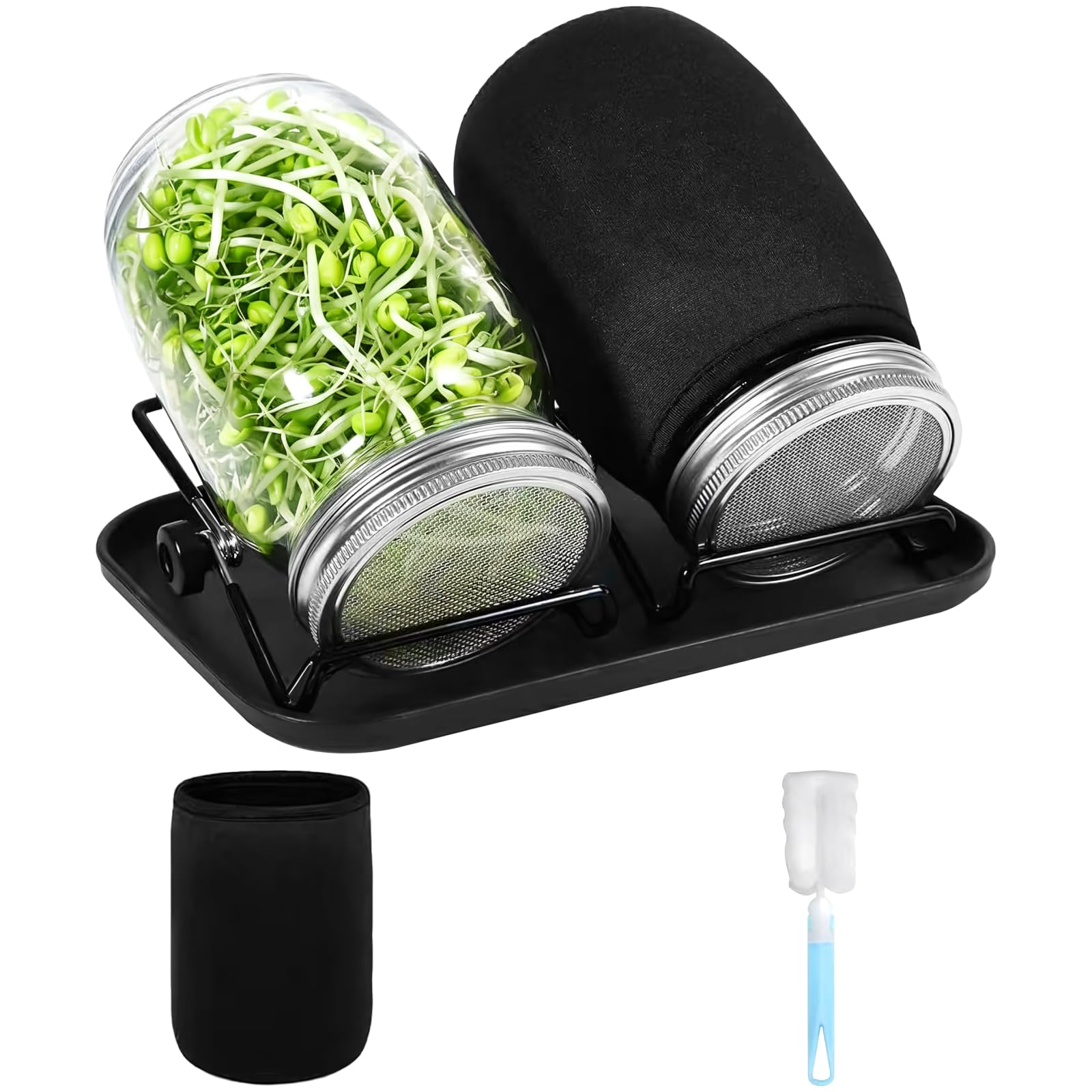 Kit de germination durable en verre Mason et acier inoxydable de qualité