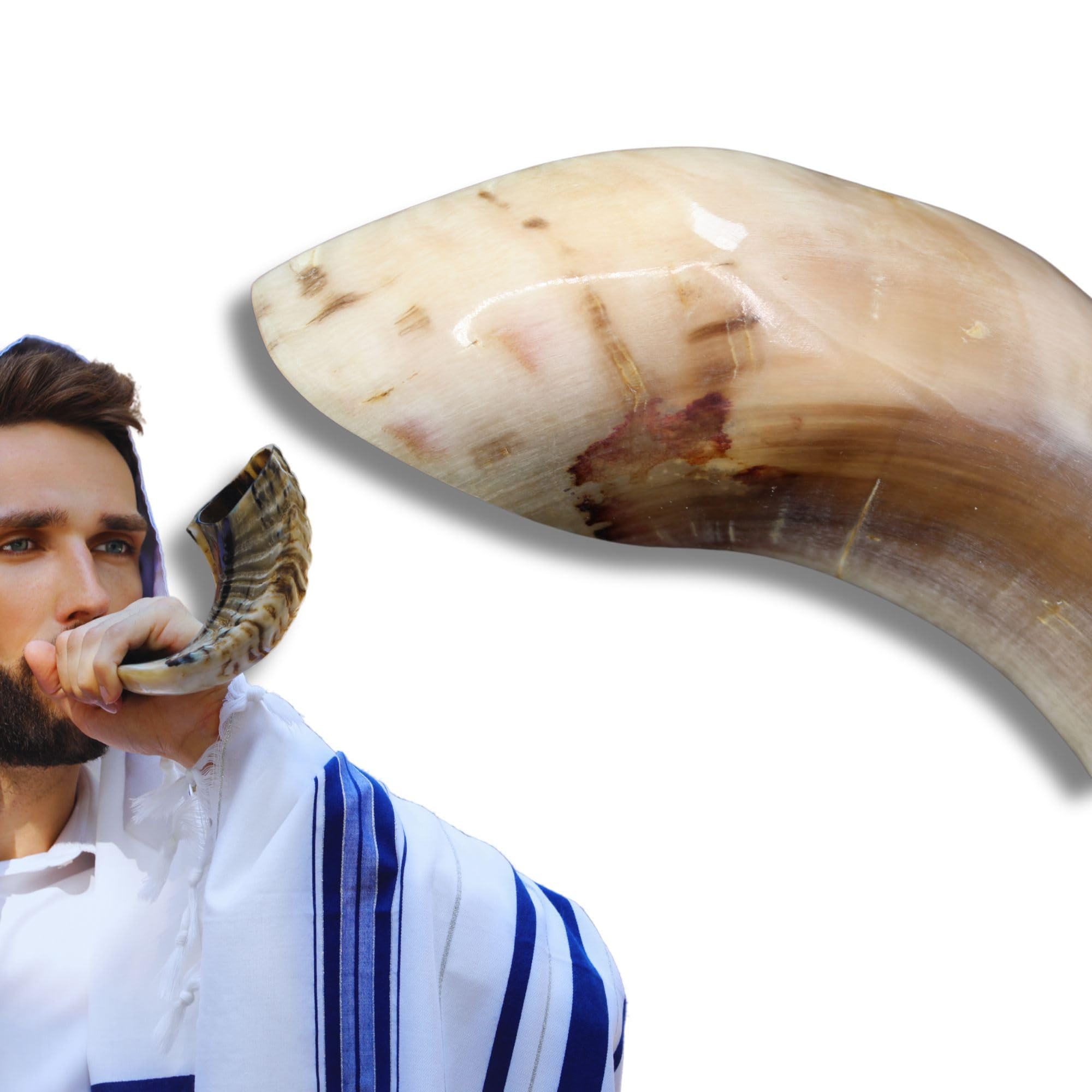 SHOFAR - Shofar Corne naturelle juive casher - Cornet hébraïque original beige à souffler - Poli, mysticisme et rituels - Mistiqa Kabalah & Judaïque - Articles juifs