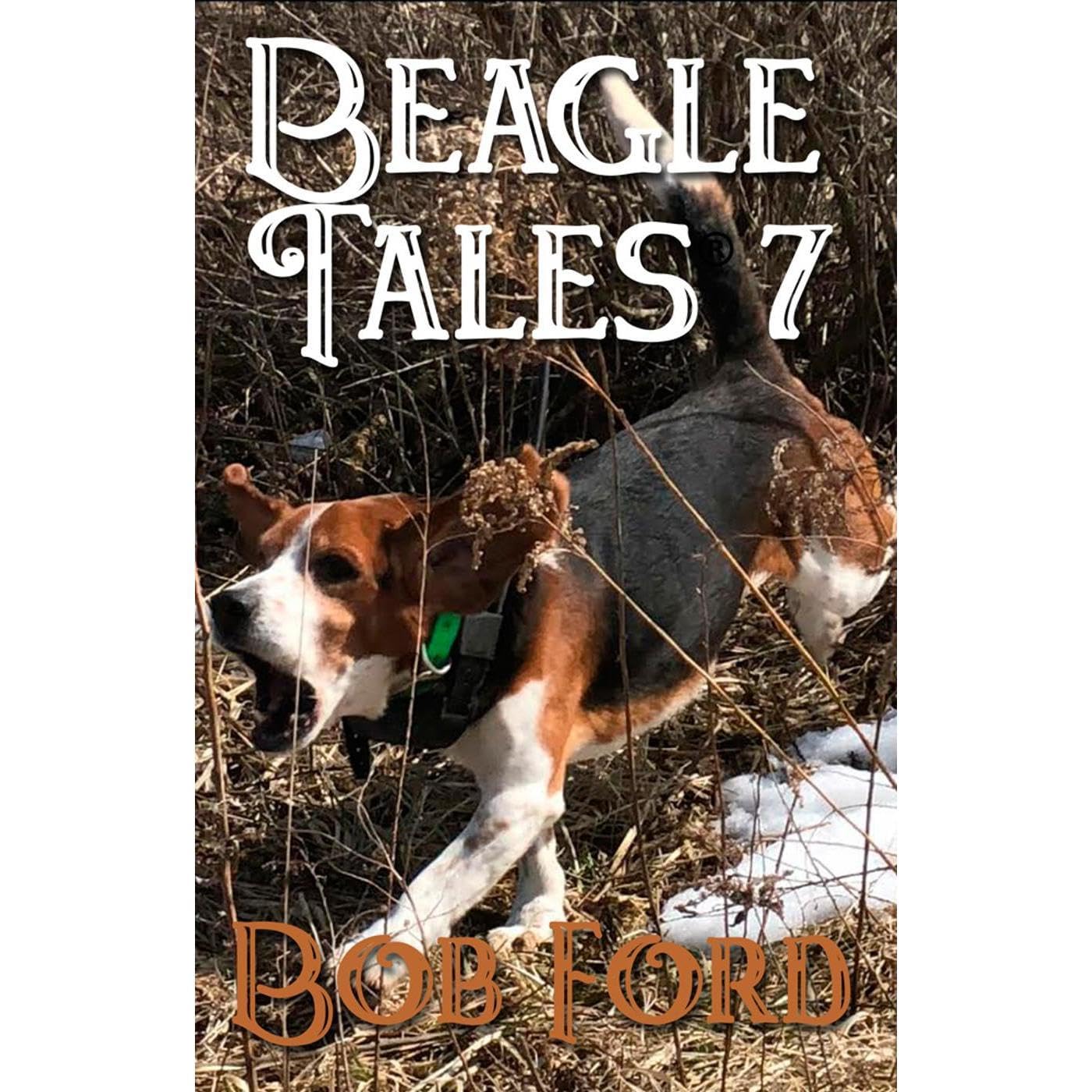 Beagle Tales 7