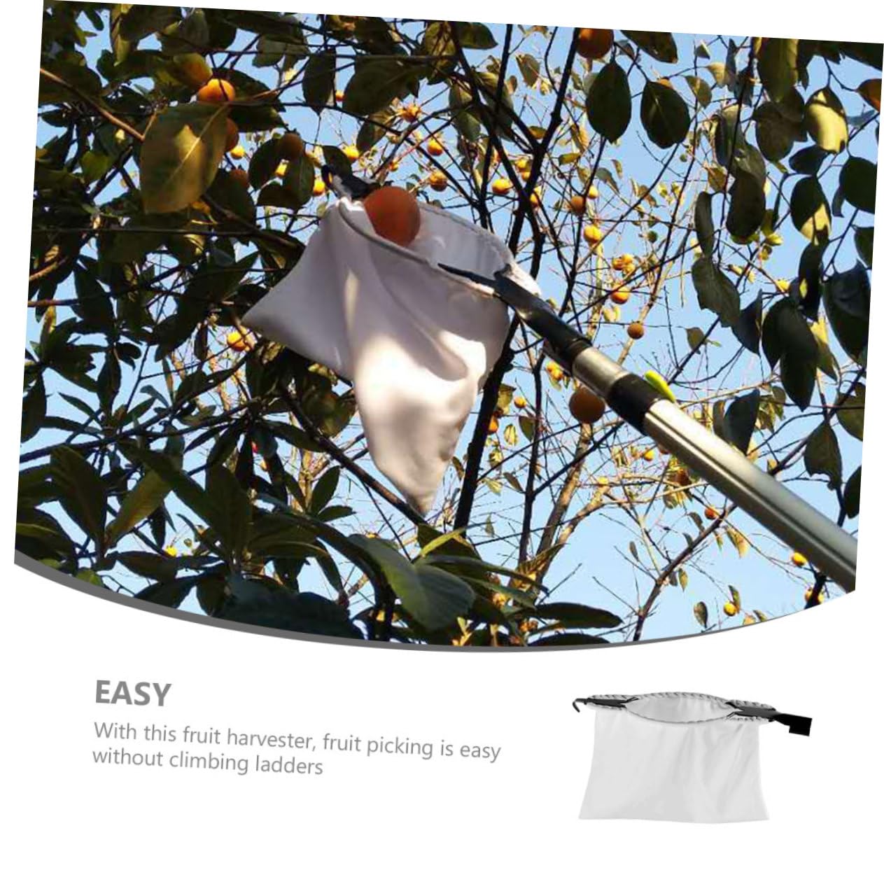 VICASKY Detachable Fruit Picker Basket with Telescoping Pole Reusable Fruit Tool for Easy Harvesting of Apples Oranges and More Garden Fruit Picker Equipment