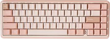 Varmilo Minilo VXB67 Graptopetalum Mendozae 65٪ بلوتوث أبيض LED لوحة مفاتيح ميكانيكية Varmilo EC Violet V2
