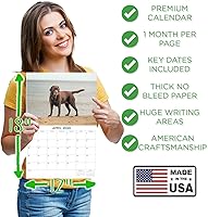 Vista 1060 de Razas de Perros 2017