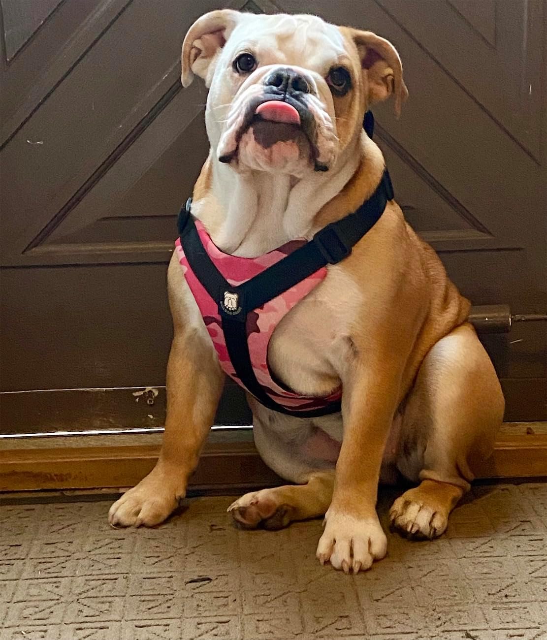 No-Pull Harness for English & French Bulldogs - Adjustable Wide-Chest Fit, Reflective Vest with Control Handle (Powerful Pink Camo, Large)