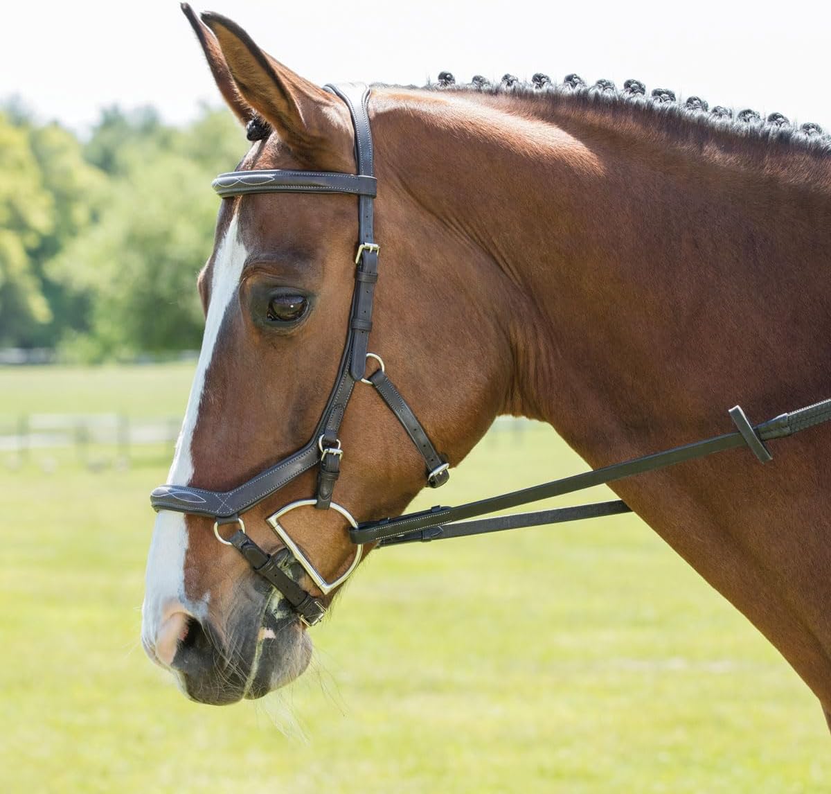 English Headstall Bridle Reins Cowhide Genuine Leather Horse Crossover Crossunder Raised Fancy Stitched Laced All Purpose Jumping Dressage Rubber Crystal Padded Adjustable Browband Full-Cob,M59