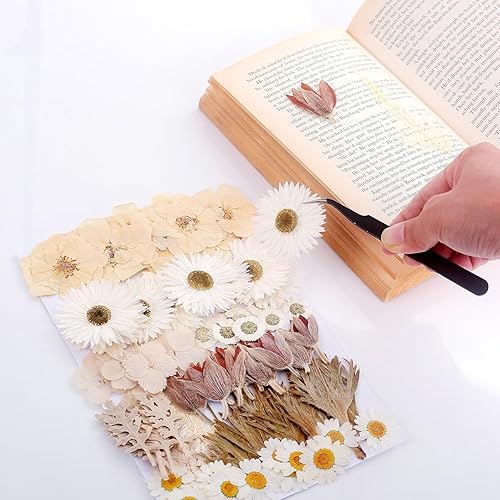 Miniatura 30 de 100 piezas de hojas verdes prensadas secas reales, herbario de plantas naturales para bricolaje, moldes de resina, fabricación de joyas