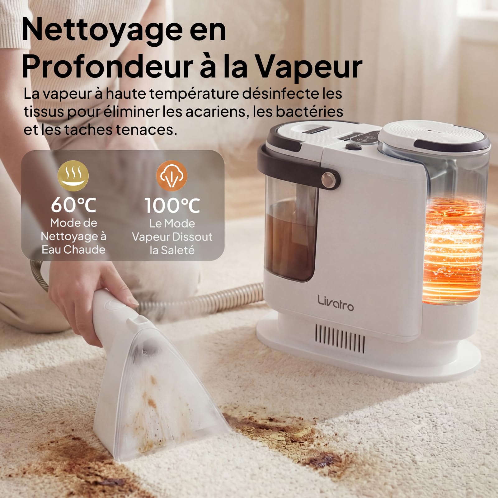 Livatro Shampouineuse à Vapeur 100 °C pour Canapés et Tissus