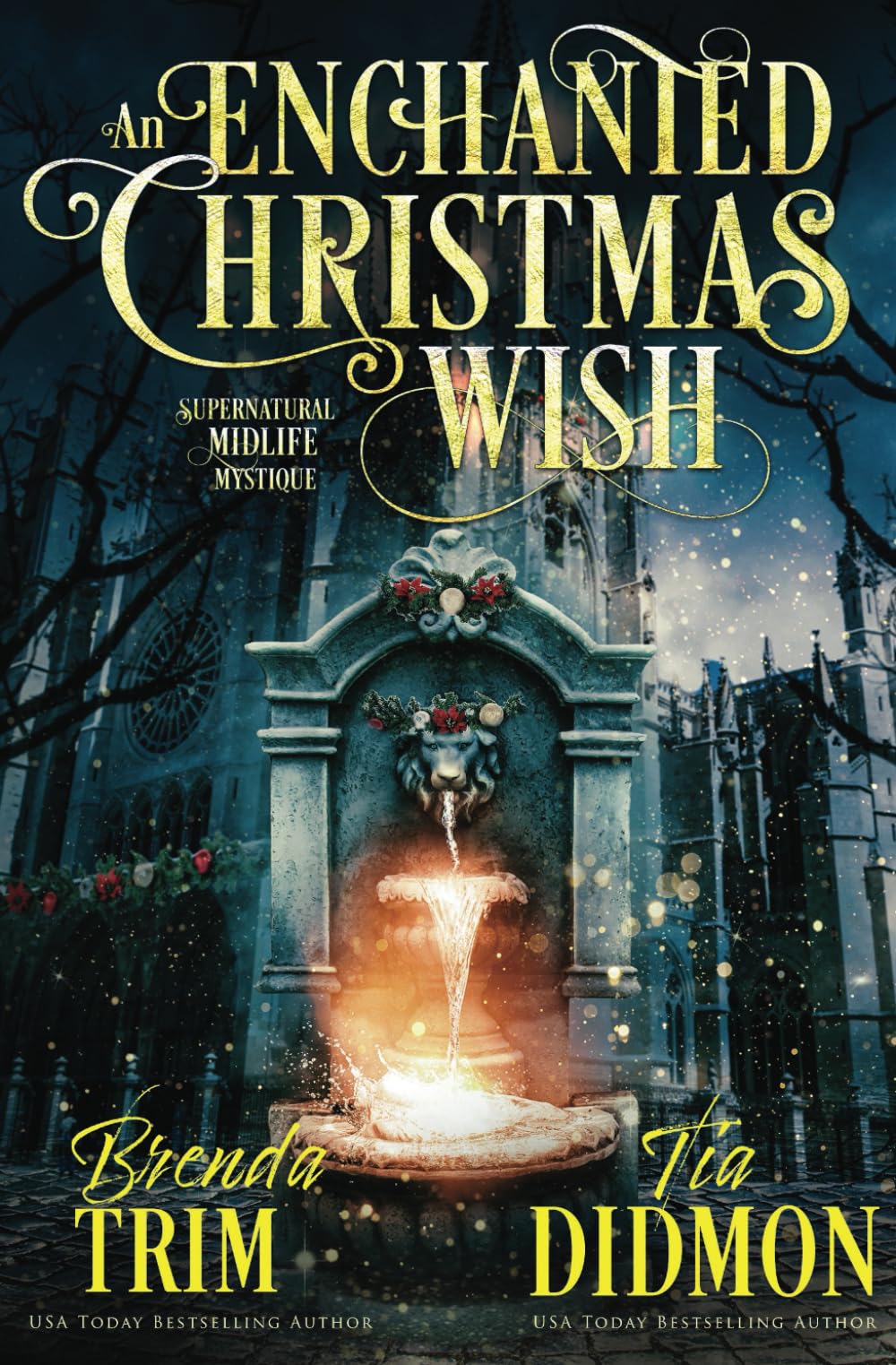 Book cover for An Enchanted Christmas Wish