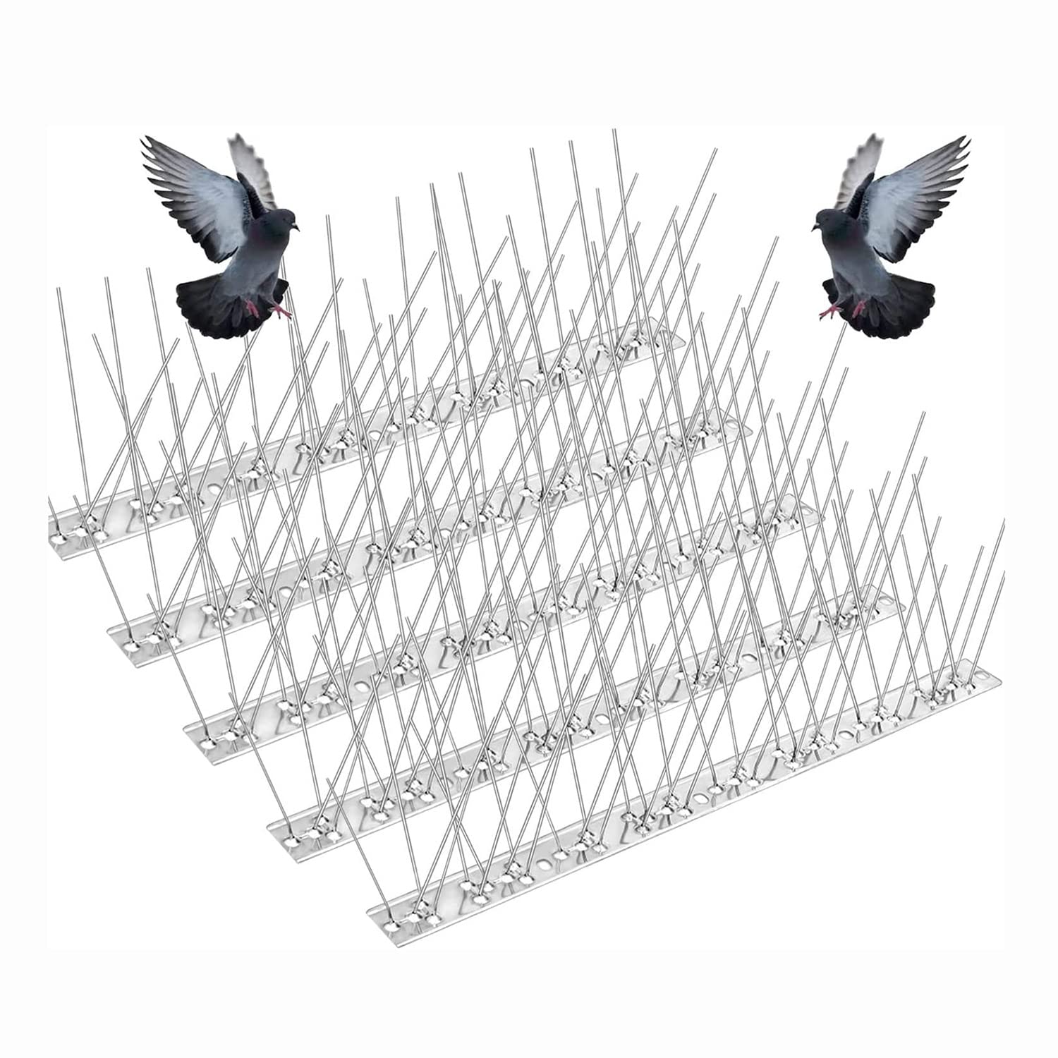 Buy JMYUAE Stainless Steel Bird Spikes for Pigeons, Bird Deterrent