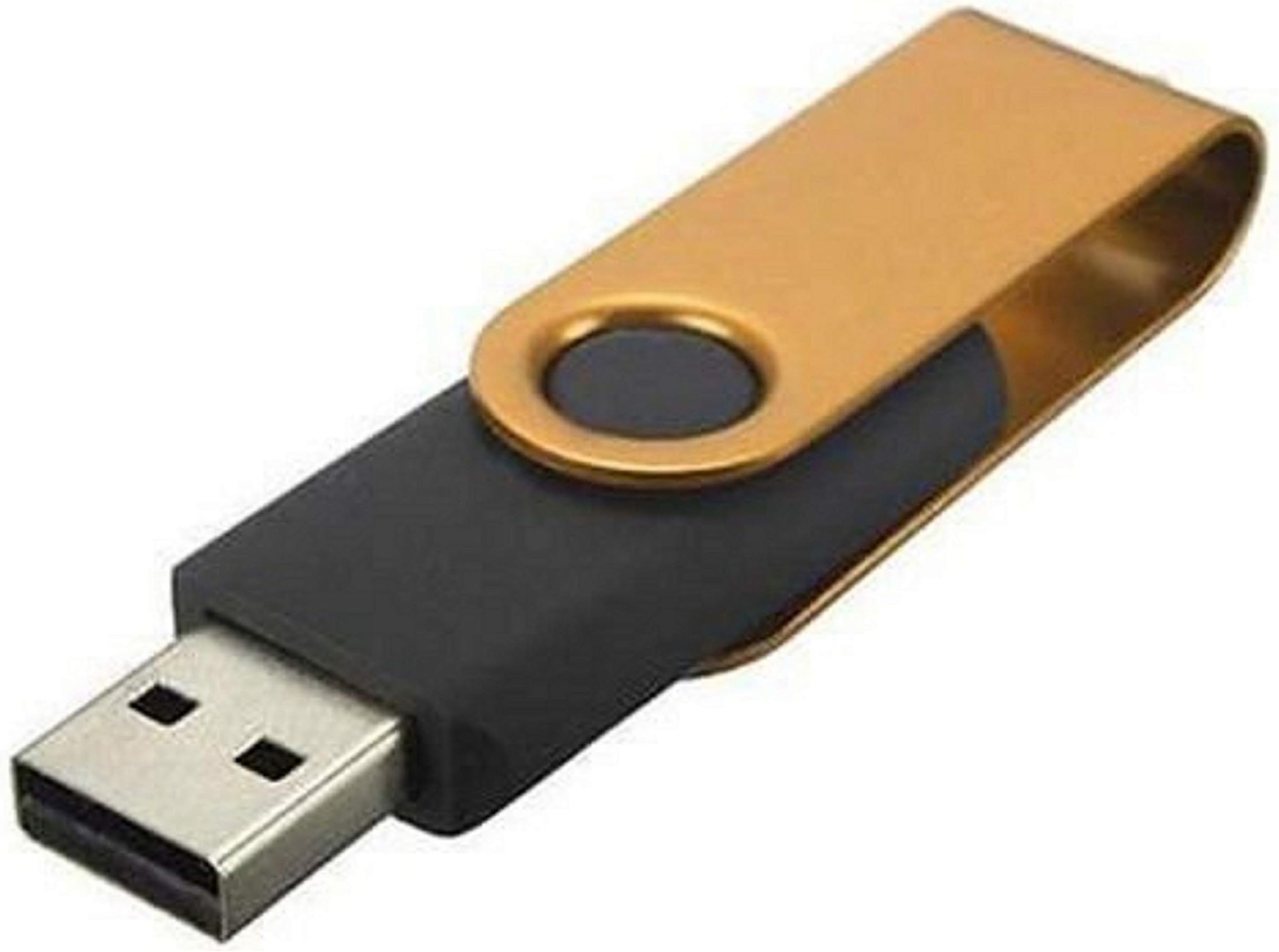 Pili Dingtian USB Flash Drive 128GB Memory Stick 128GB Stick External Storage