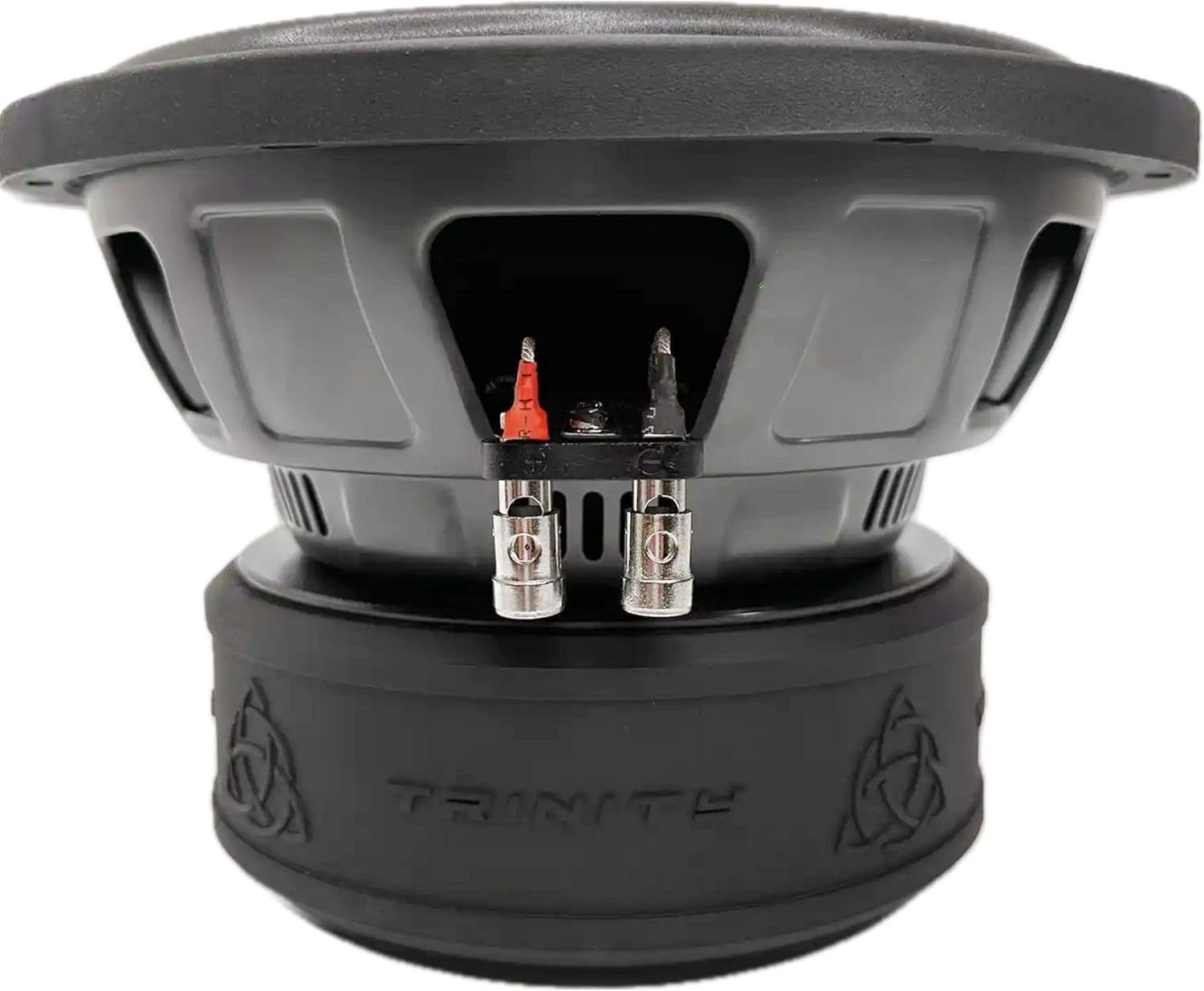 Trinity Audio TAS-E10D2 10" 2400W Dual 2-Ohm Subwoofer