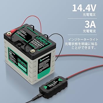Amazon.co.jp: RoyPow リン酸鉄リチウムイオンバッテリー充電器
