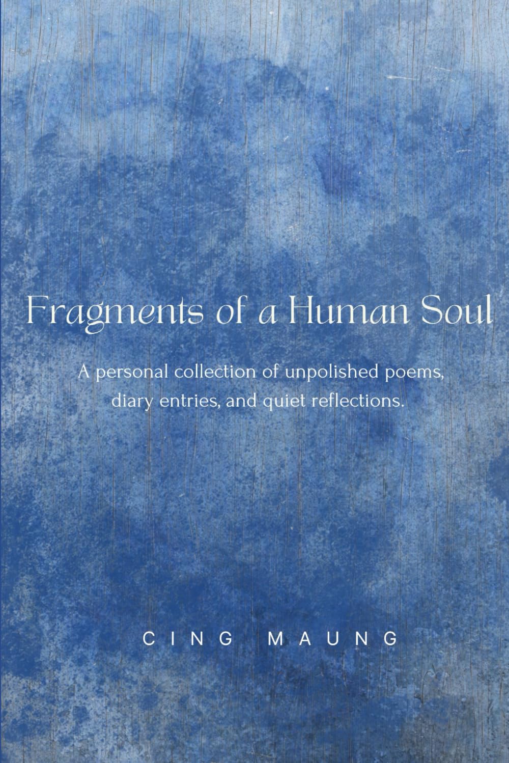 Fragments of a Human Soul