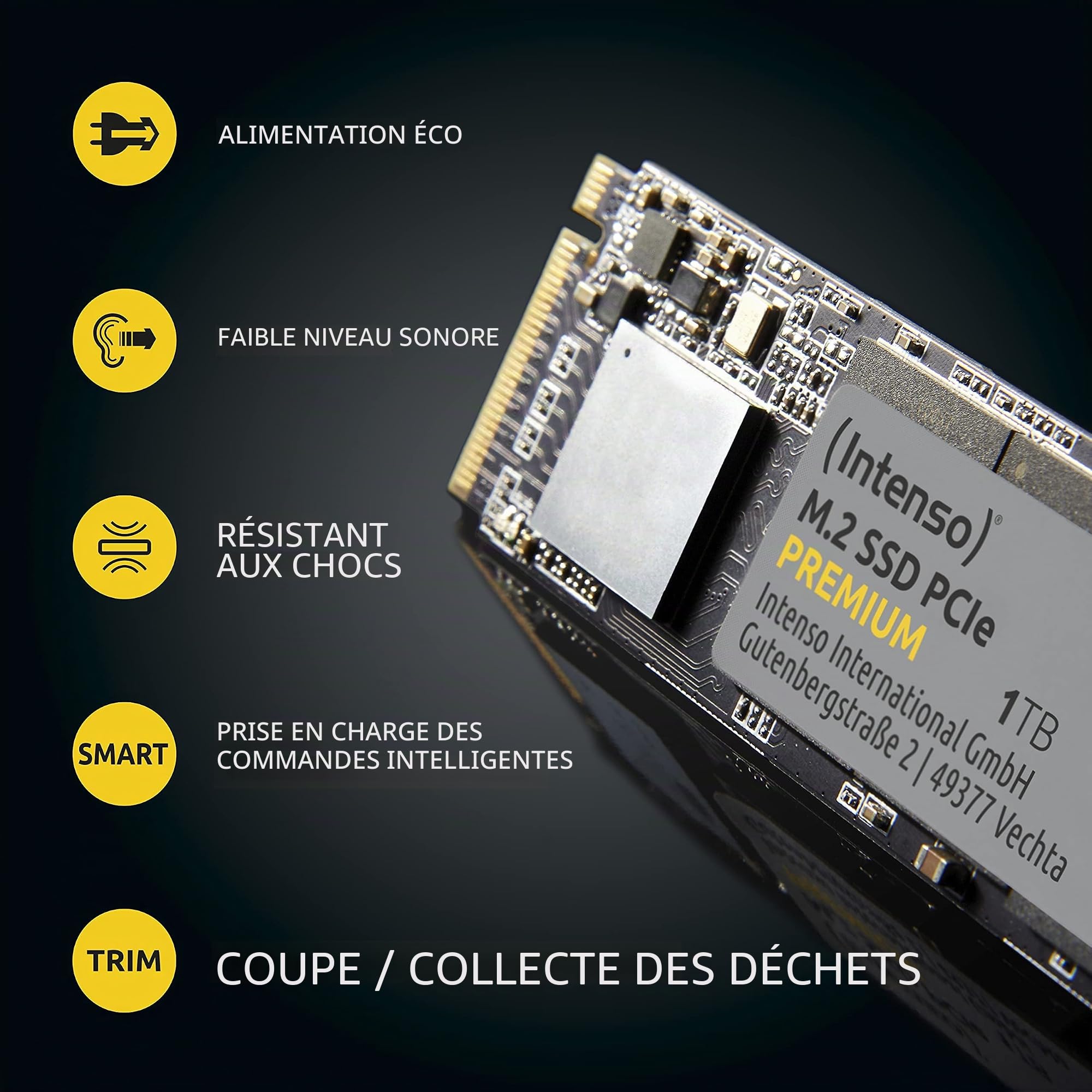 Intenso Disque SSD Interne 500 Go M.2 SSD PCIe Premium, jusqu'à 2100 Mbit/s, (PCI Express Gen.3x4 NVMe 1.3, Solid State Drive)
