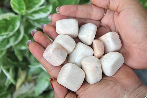 Miniatura 6 de Jet - Piedra lunar auténtica (una pieza) Atractivas piedras auténticas de aproximadamente 0.71-1.06 oz (piedra lunar)