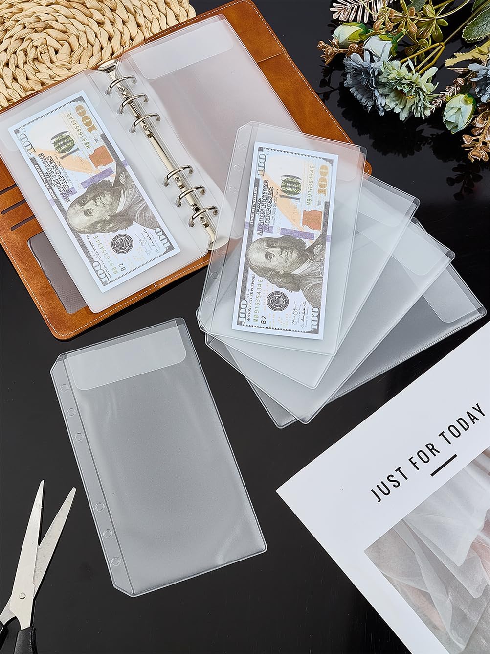 10Pcs PVC Binder Pages, Sleeve Page Protectors Rectangle Currency Sleeves for Currency Bills Collectors Office Home Bank Supplies, 180x104x0.4mm, Hole: 5mm, Inner Diameter: 170x93mm