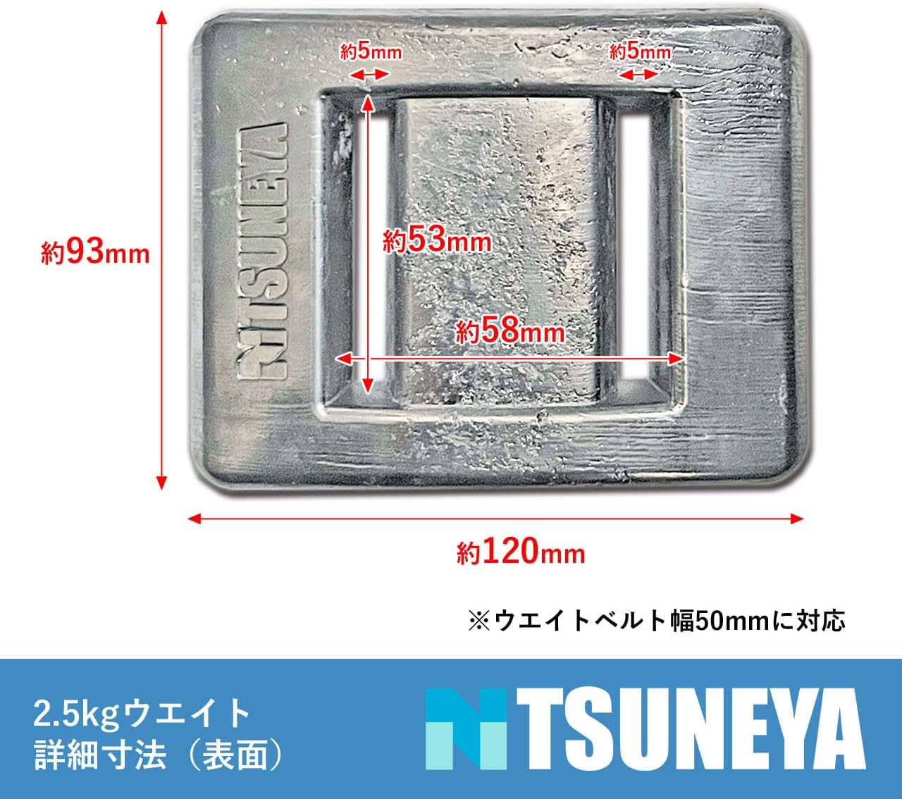 2.5kg【2.5kg×1個】TSUNEYA ベルト用 おもり 日本製 スキンダイビング 【タンブラー】 フリーダイビング スキ