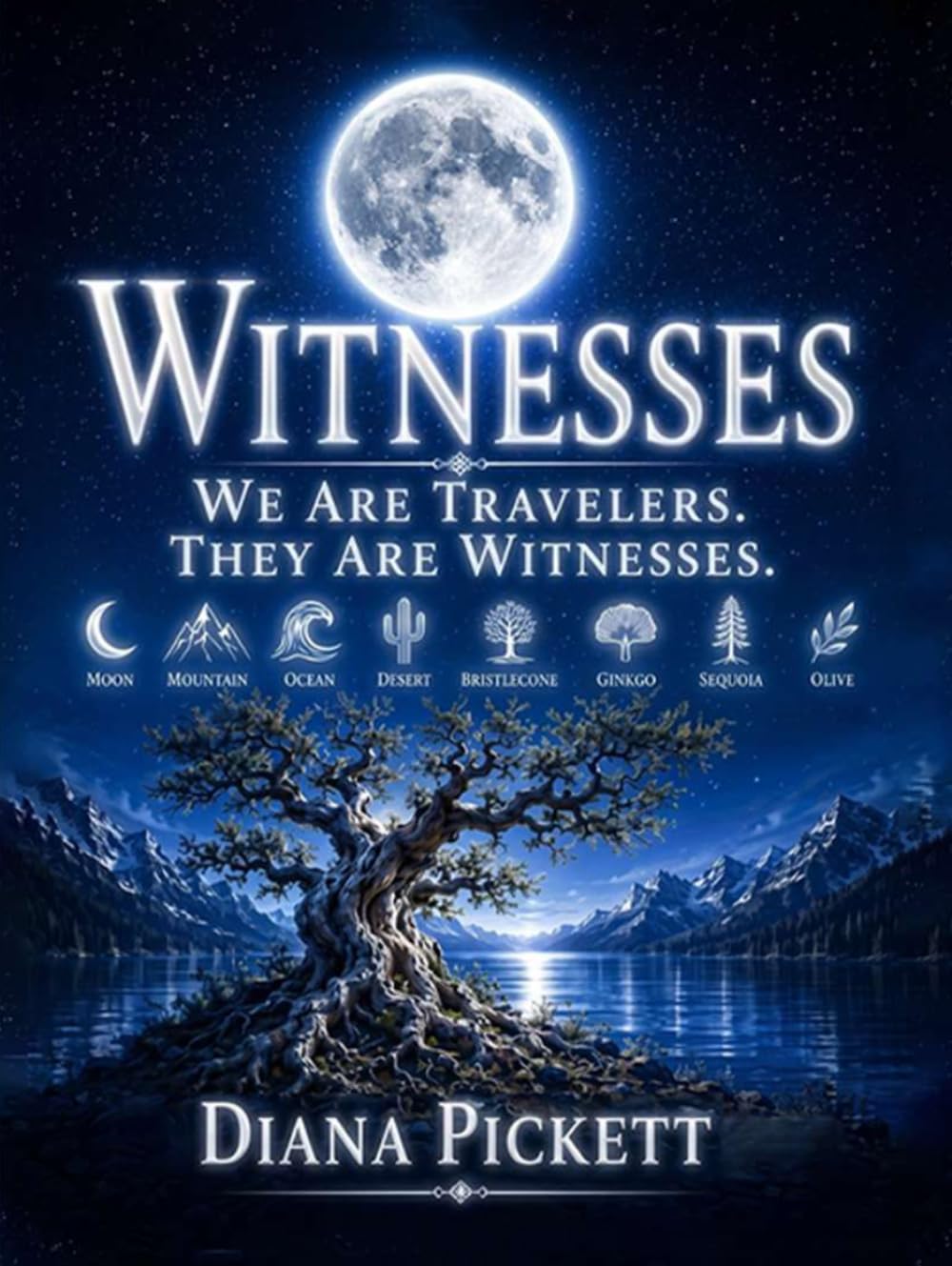 WITNESSES: WE ARE TRAVELERS THEY ARE WITNESSES