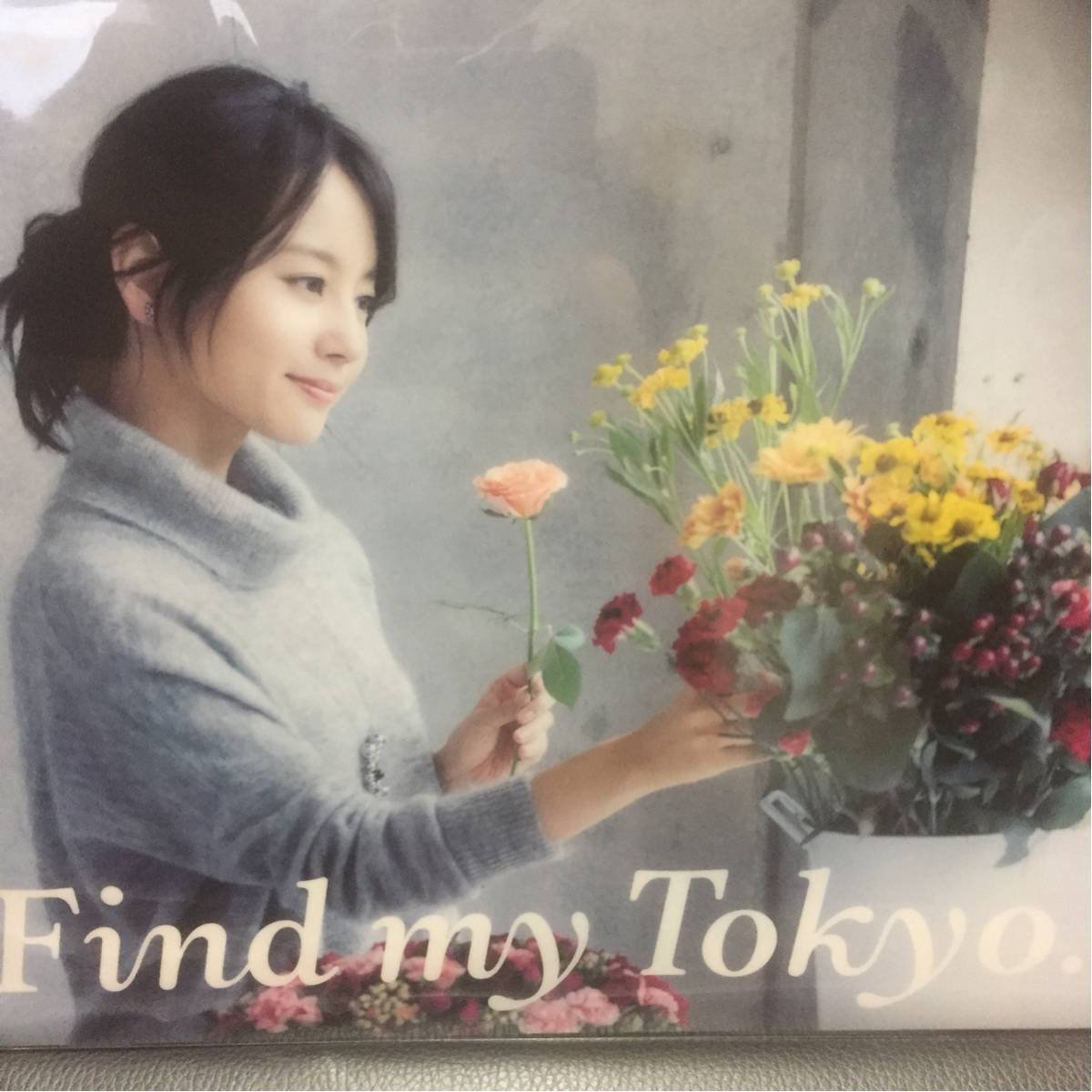 Amazon.co.jp: 堀北真希クリアファイル 東京メトロFind my TOKYO裏参道