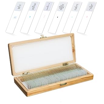 50PCS Prepared Microscope Slides, Microbiology Specimen Slides for Kids, Adults LVQ091