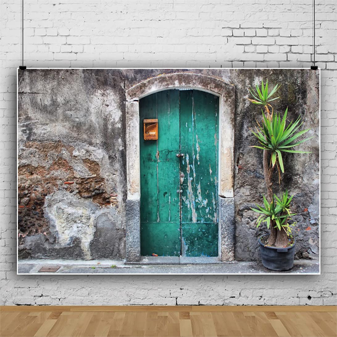 10x8ft Alte Wand Tür Polyester Hintergrund Holztür und alte Steinmauer Design Fotografie Hintergrund Stadtansicht Urlaub Reise Backdrops Fotokabine Studio Requisiten