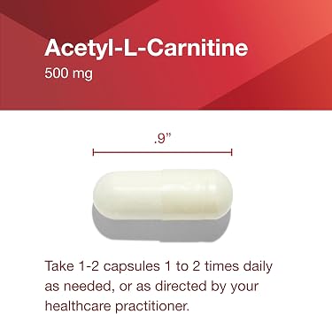 PROTOCOL FOR LIFE BALANCE Acetyl- L-Carnitine 500mg - Energy Supplement, Nerve, and Brain Support - 100 Veg Caps