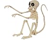 Large Skeleton Monkey