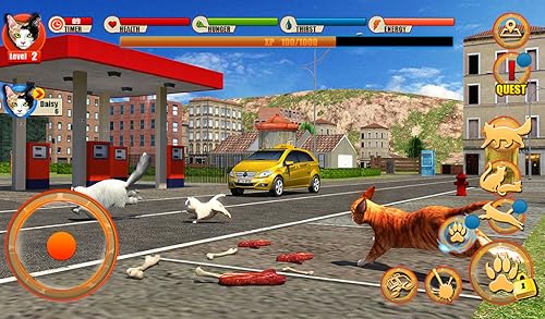 Street Cat Sim 2020