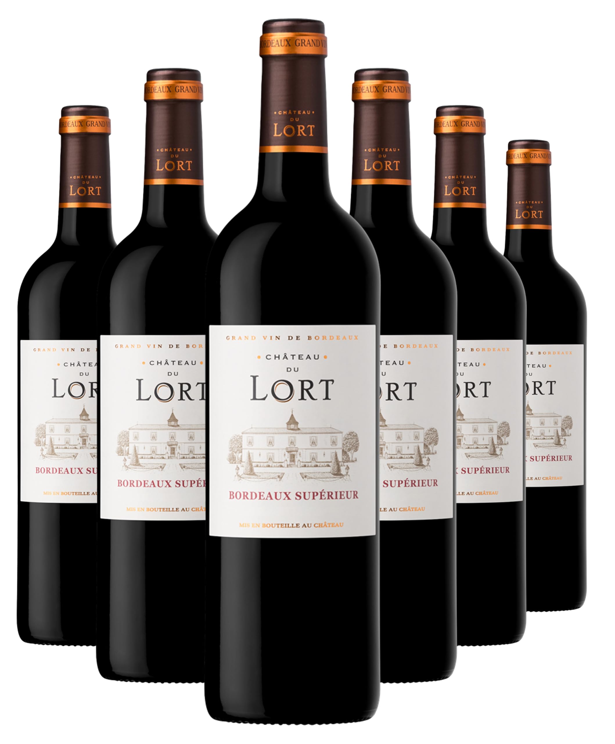 Château du Lort - AOP Bordeaux Supérieur - Vin Rouge - Terra Vitis - Lot de 6 bouteilles x 75cl