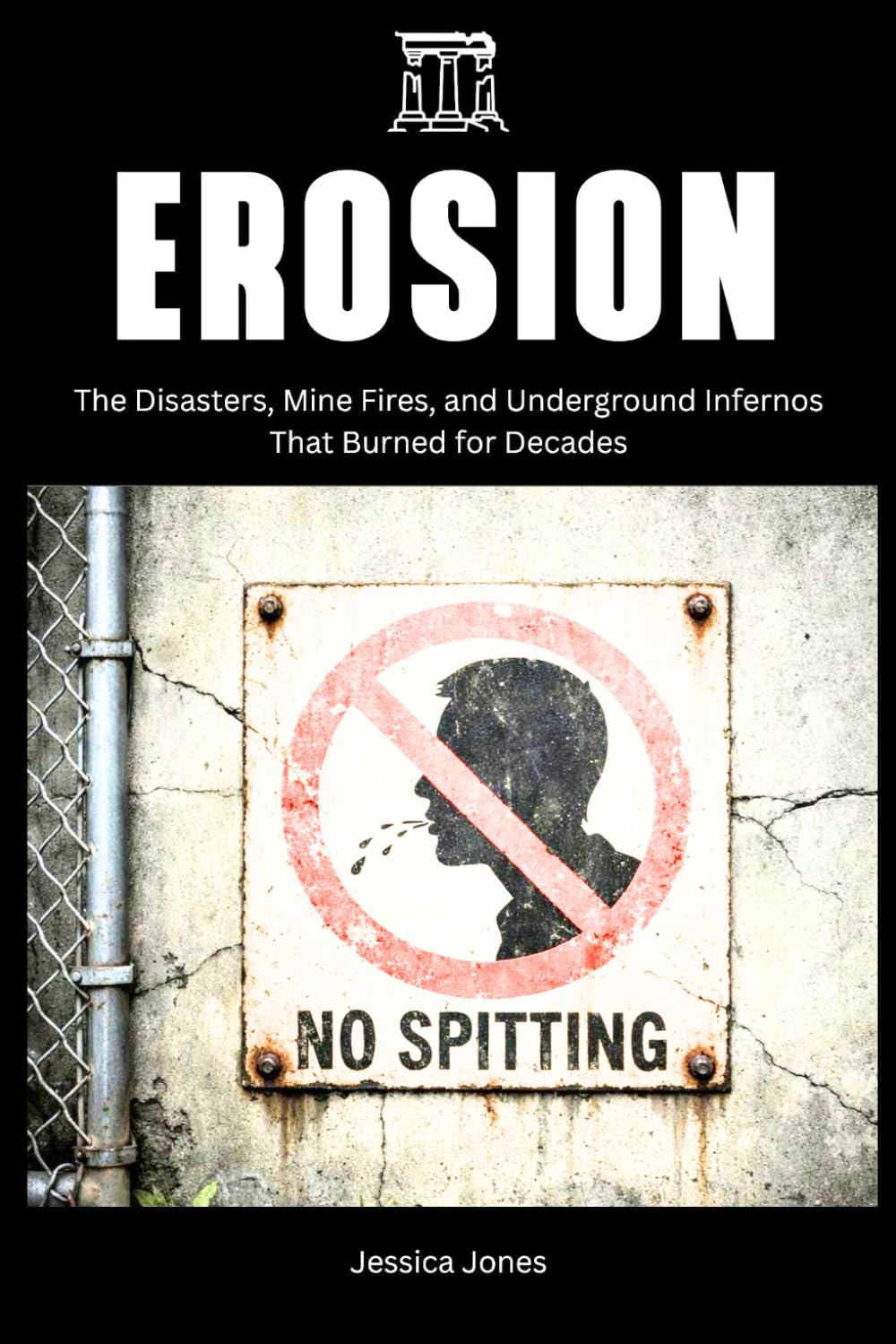 Erosion: Public Behavior and the Fragility of Civilization: 23 (HISTORY & ORIGINS SERIES)
