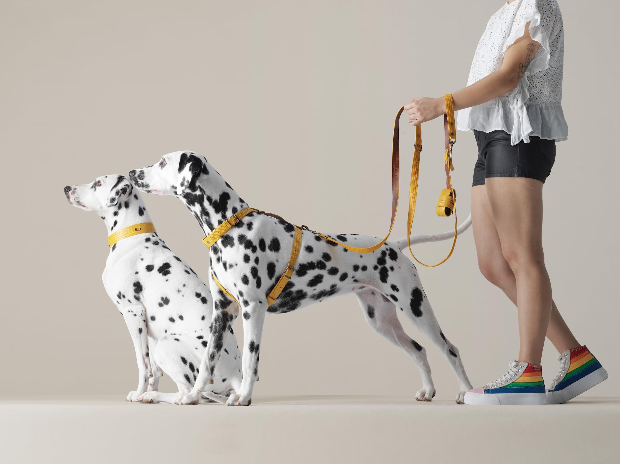 Arnés para Perros PILATUS S | Diseño Suizo Hecho a Mano en España | Mangueras de Bomberos Recuperadas de Suiza, España y Francia | Arnés Cómodo y Resistente