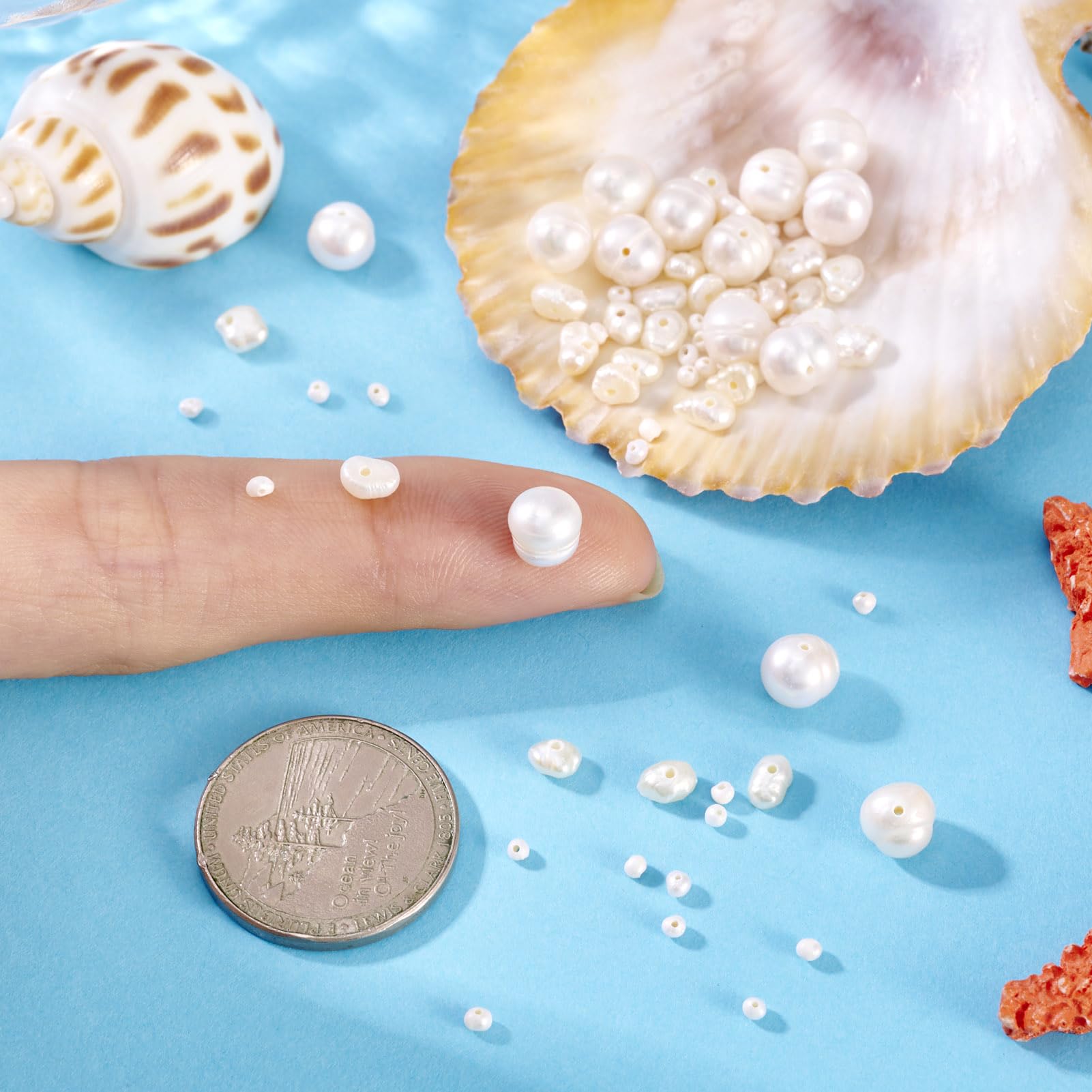 Spritewelry 50Pcs Electroplated Shell Pearl Beads Seashells Loose Spacer Bead for DIY Necklace Bracelet Earrings Jewelry Making - Image 4