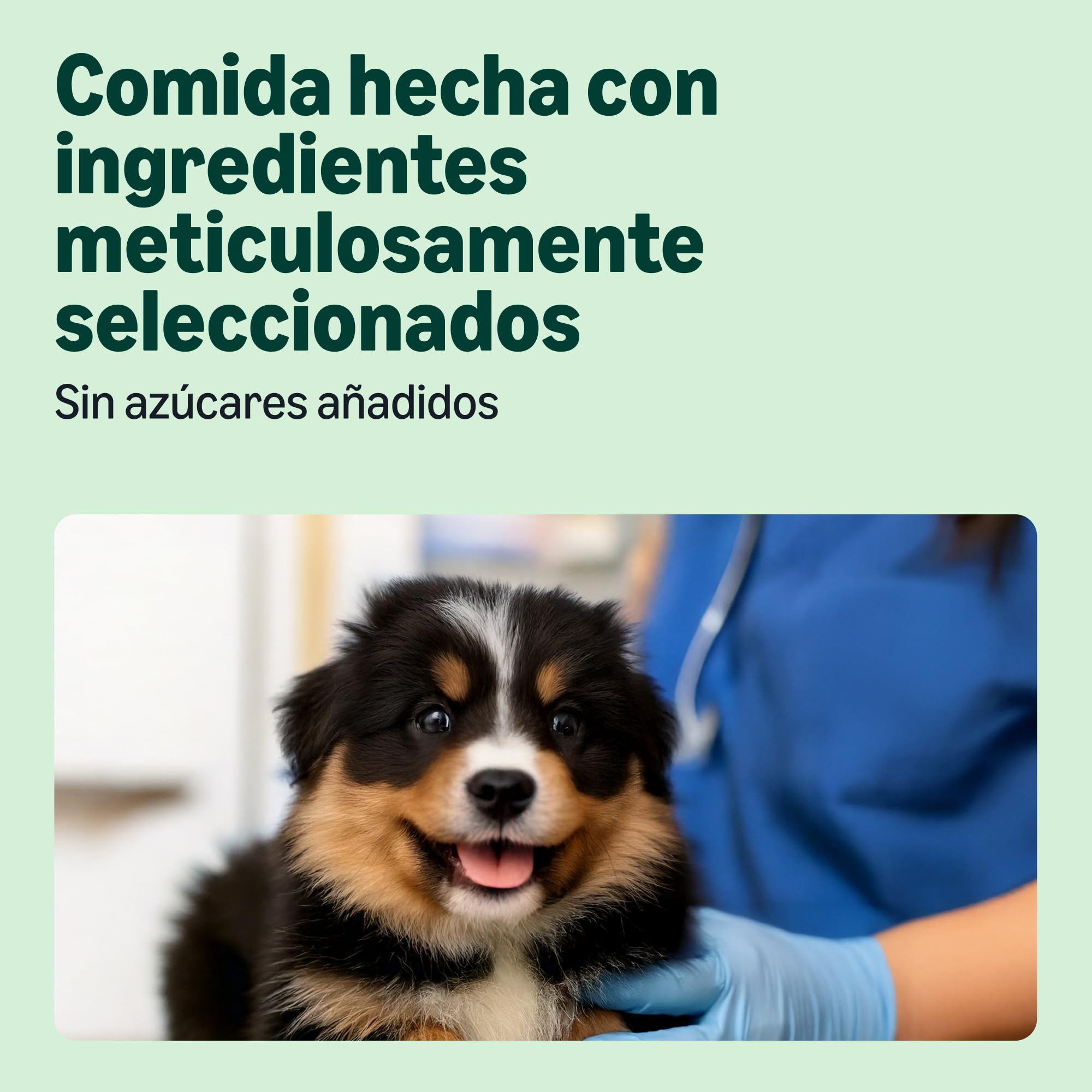 by Amazon Comida Seca Completa para Perros Rica en Pollo y arroz, 3 kg