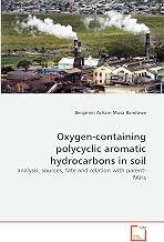 Oxygen-containing polycyclic aromatic hydrocarbons in soil: analysis, sources, fate and relation with parent-PAHs
